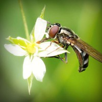 /album/leineshosis/photolia-a02-jpg/