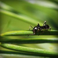 /album/leineshosis/photolia-a05-jpg/